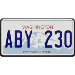 Plate USA Washington