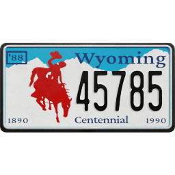 Plate USA Wyoming