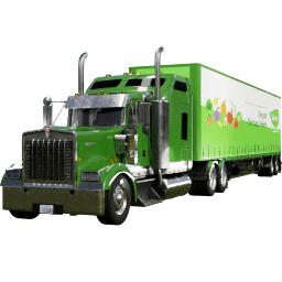 Kenworth W900 TR Curtainside C